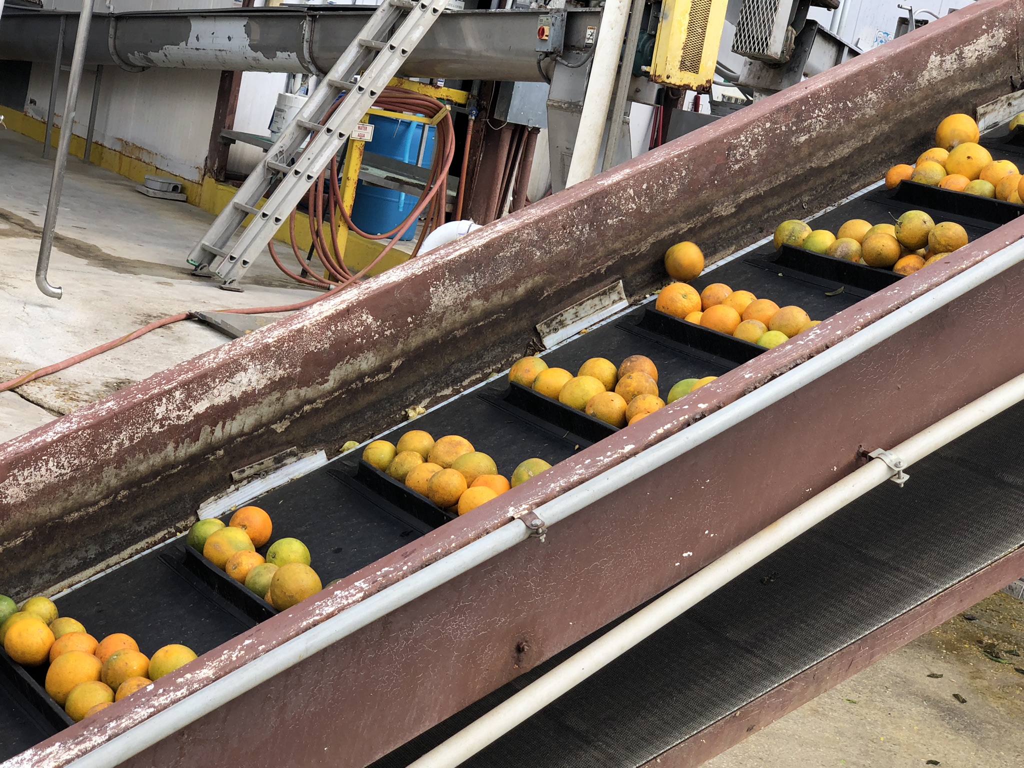 Fruit Juice Manufacturing Facility, Vero Beach, Florida
